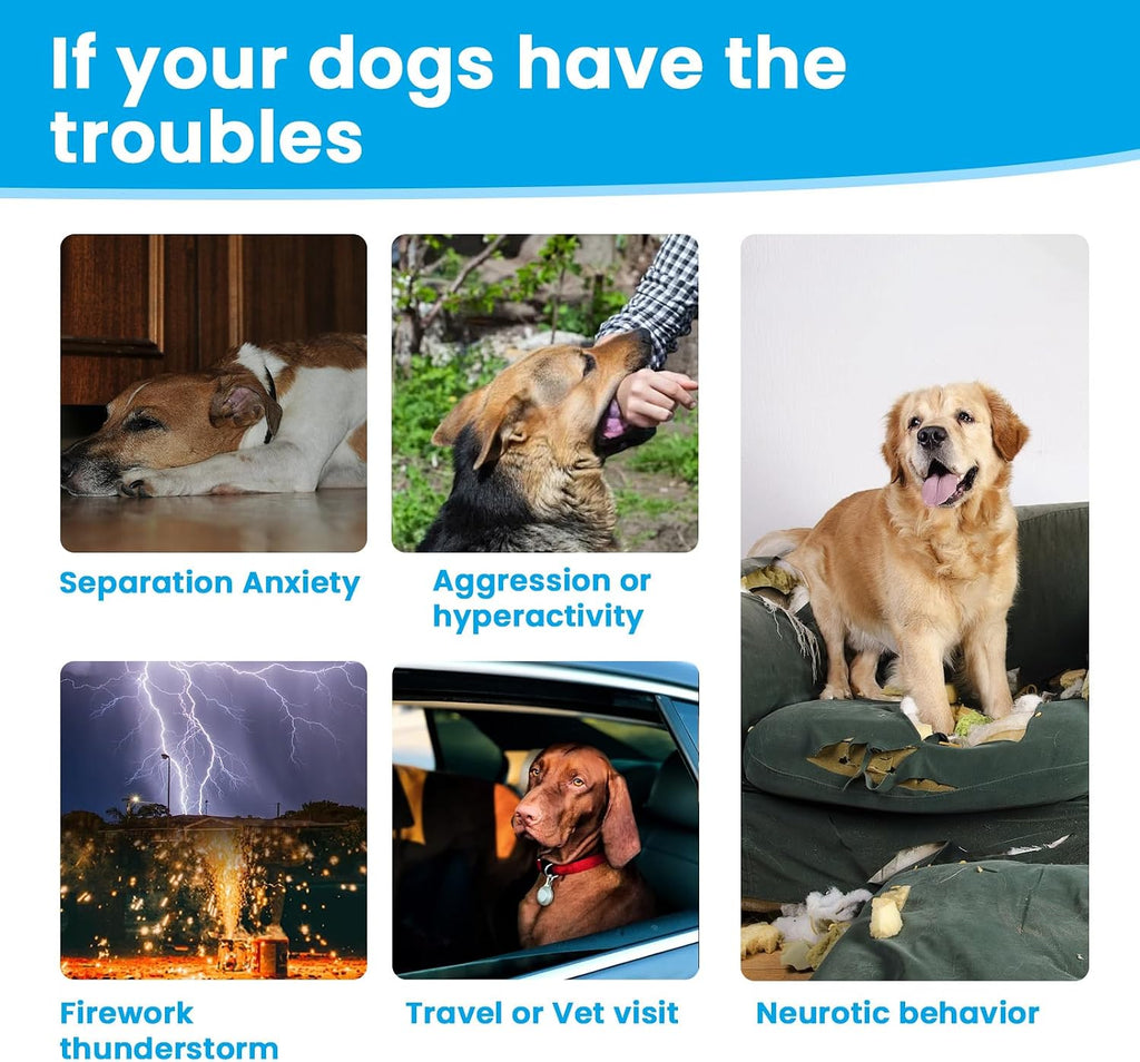 Vividly Pets - Calm & Co Premium Dog Calming Chews
