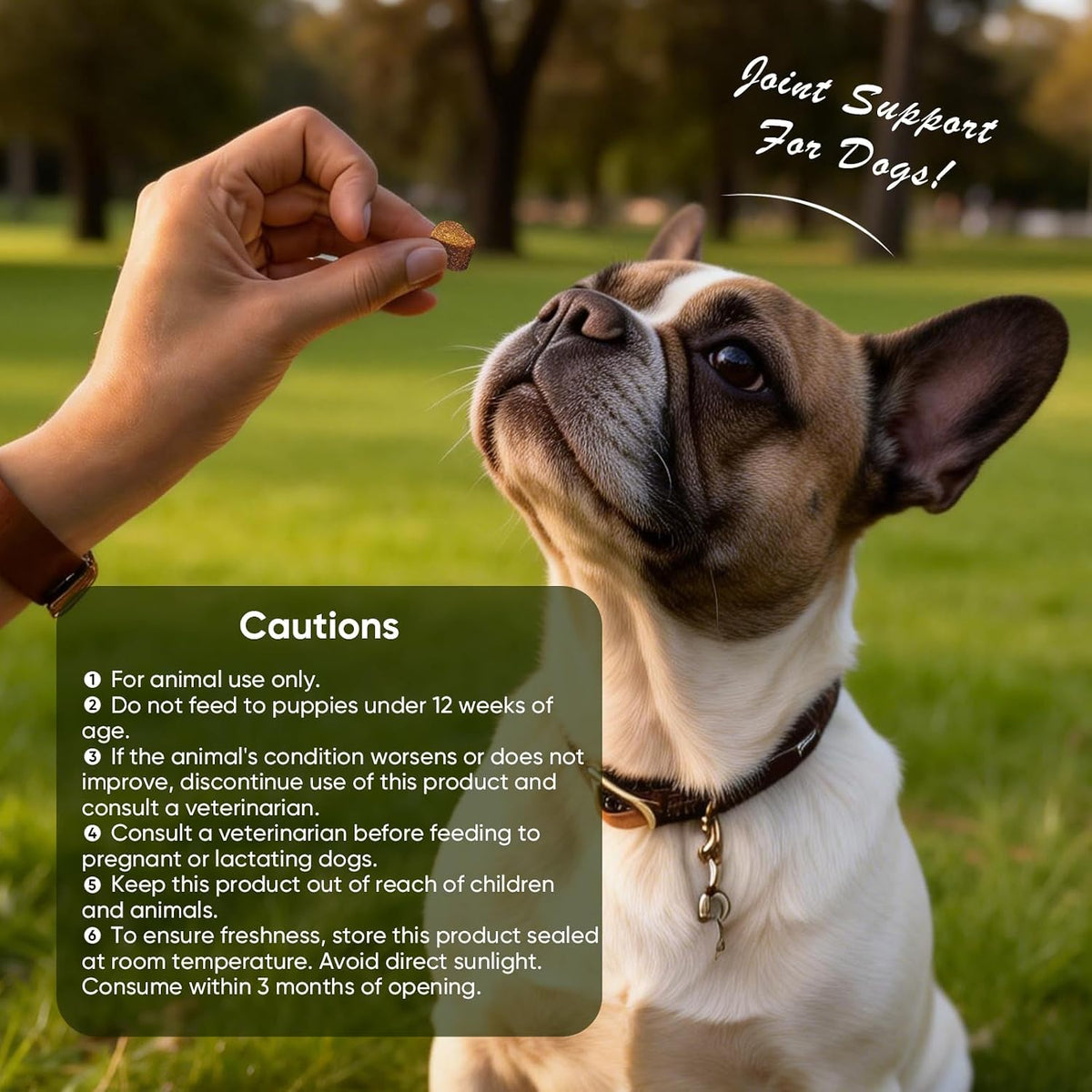 Vividly Pets - Flex & Flow Hip & Joint Mobility Chews