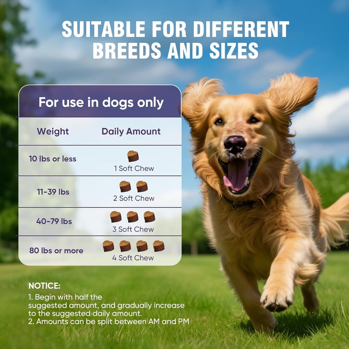 Vividly Pets - Flex & Flow Hip & Joint Mobility Chews