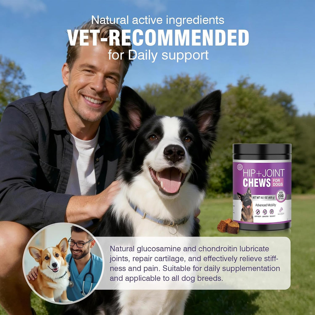 Vividly Pets - Flex & Flow Hip & Joint Mobility Chews